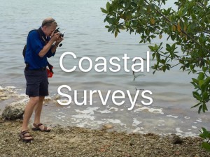 Coastal Surveys